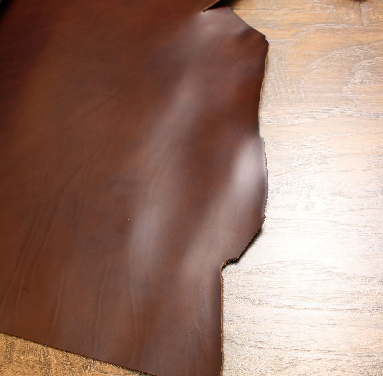 Premium dark brown finished leather hide on showroom floor